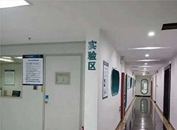 湖南DNA亲子鉴定医院正规机构有哪些，湖南医院亲子鉴定准不准