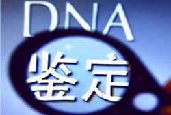 湖南私密亲子鉴定准确吗，湖南个人亲子鉴定在哪做