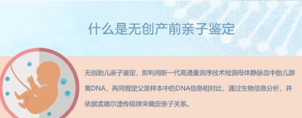 湖南怀孕亲子鉴定流程,